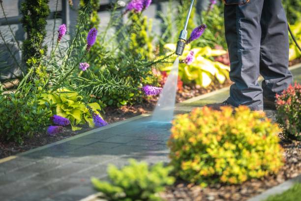 Best Animal Enclosure Cleaning  in Laureles, TX
