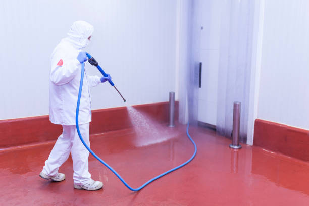 Best Winterizing Services  in Laureles, TX