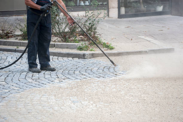 Best Fence Cleaning  in Laureles, TX